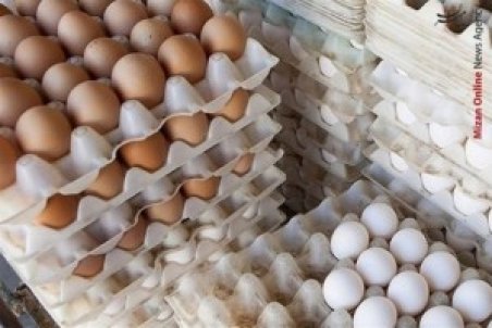 هر شانه تخم مرغ به ۵۳ هزار تومان رسید
