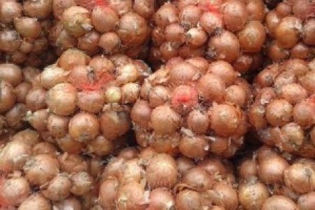 یک ضد سرطان واقعی را بشناسیم