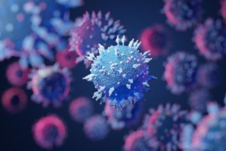 اُمیکرون کی تمام می‌شود؟