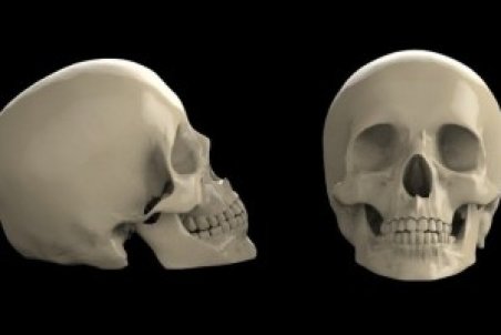 تعبیر خواب جمجمه: دیدن جمجمه در خواب نشانه چیست ؟