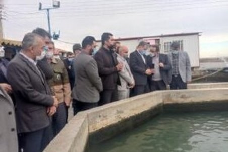 بازدید وزیر جهاد کشاورزی از پروژه پرورش ماهیان خاویاری" بندرگز"