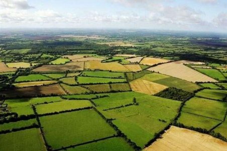 اختصاص اعتبار ۶۰۰ میلیاردی به تهیه اسناد مالکیت حدنگاری اراضی کشاورزی