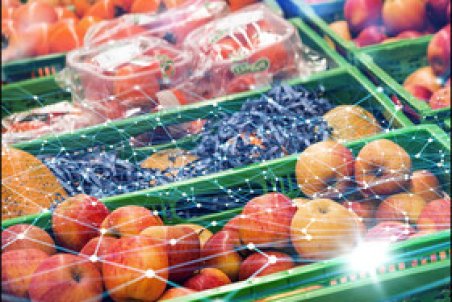 دبیرخانه دائمی امنیت غذایی در پارک فناوری پردیس تشکیل شد