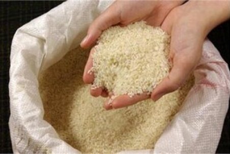 نظری: دستوری شدن قیمت برنج، تولیدکننده را متضرر می‌کند