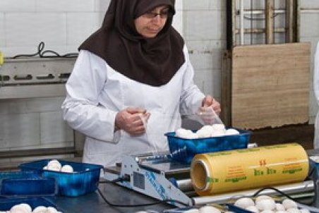 ۳۱ استان صاحب تعاونی تامین نیاز مشاغل خانگی می‌شوند