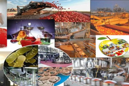 حمایت از طرح‌های زیستی که به توسعه صنایع غذایی کمک می‌کنند/آخرین مهلت ارسال طرح