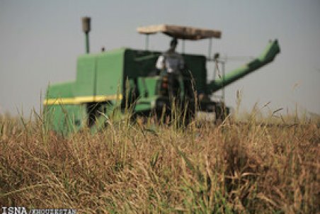 پرداخت ۱۴۲۸میلیارد ریال غرامت به کشاورزان خسارت‌دیده خوزستان