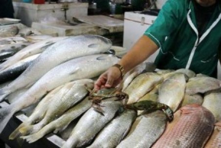 چرا قیمت ماهی گران شد؟