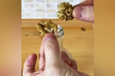 ترفندی برای شکستن پوست گردو + فیلم