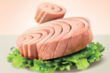 قیمت انواع تن ماهی در بازار