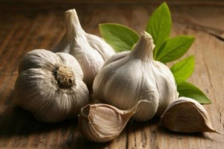 تعبیر خواب سیر / دیدن سیر در خواب چه تعبیری دارد؟